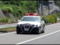【緊急走行】北九州市警察部機動警察隊”北九602”210系クラウンアスリート