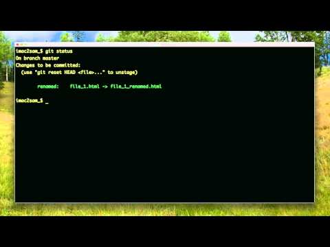 Rename or Move Files - Git