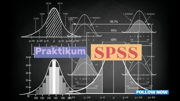 PRAKTIKUM SPSS : PENYAJIAN DATA KUALITATIF