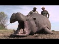 Hunting Caprivi Hippo - 2015