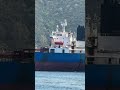 TRANSFORMER (ex GRINCH) Rohöl Tanker in Istanbul im Bosporus