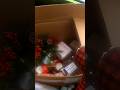 Dumpster diving at retail stores!! #dumpsterdiving #free #viralshorts #fyp #share
