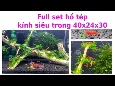 Video Full set Hồ tép kính siêu trong 40x24x30 - youtube