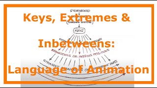 Keys, Extremes, Breakdowns and In-betweens