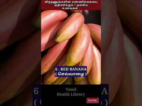 விந்தணுங்களை அதிகரிக்கும்  உணவுகள் | Increase Sperm Count | Tamil health library #shorts