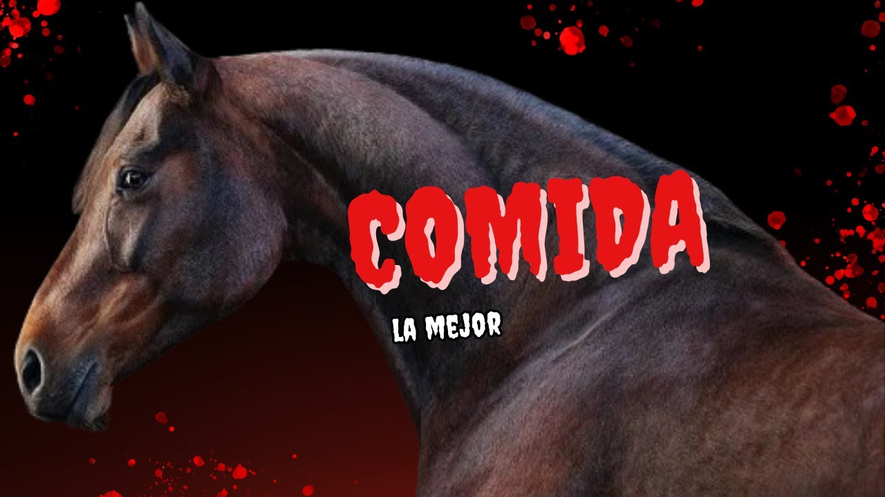 Los Mejores Alimentos para Mantener a tus CABALLOS Saludables.