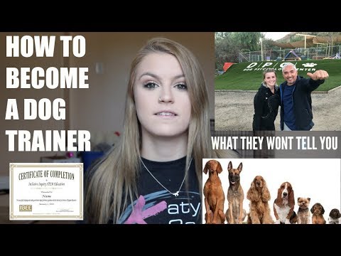 COME DIVENTARE UN CANE TRAINER (+ quello che non ti dicono)