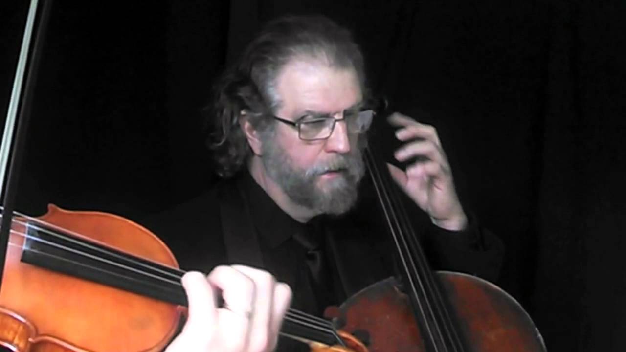 Popular and Rock String Duos (Excerpts)