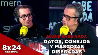 NADIE SABE NADA 8x24 | Gatos, conejos y mascotas disecadas