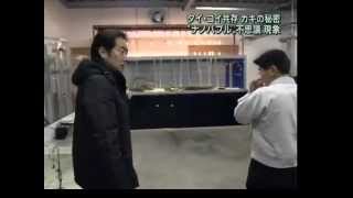 「癌細胞が減少」実験、「ナノバブル」の謎と可能性