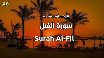 105- سورة الفيل بصوت شجي وجميل - القارىء الشيخ علاء عقل