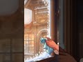 Leya’s cozy morning routine before opening the bakery #asmr#cozymornings