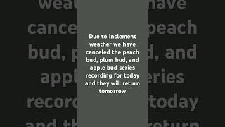 Bud series on hold do to very heavy snow