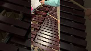 Intermediate Mallet Warm Up
