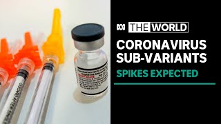 Centaurus to XBB: why some of the latest COVID subvariants are more worrying than others | The World Centaurus to XBB: why some of the latest COVID subvariants are more worrying than others | The World