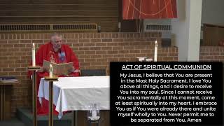 5:00 PM Mass - Pentecost