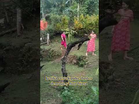 #Story Cewek Desa Pake Daster Pesona Kampong #Short #videoshort