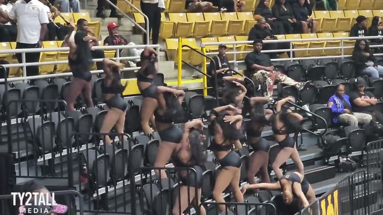 ASU Stingettes 2026 (basketball) - Highlights (SU) Vets Leading 