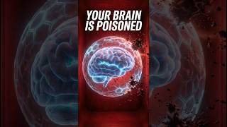Blood-Brain Barrier Explained Why Your Blood Is Poisonous to Your Brain