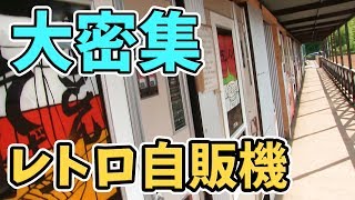 レトロ自販機の密集地を神奈川で発見！ラーメン＆トーストサンド食べてみた！ Retro Vending Machines