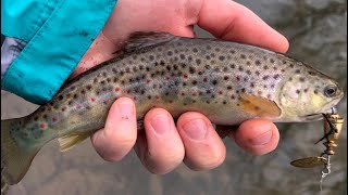 Fishing For Trout (+ Exploring a New Creek)