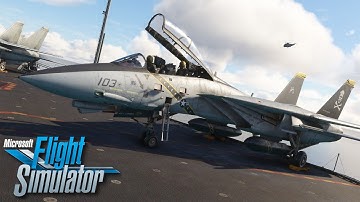 IndiaFoxtEcho & HeatBlur F14 Tomcat - First Look Review! - MSFS