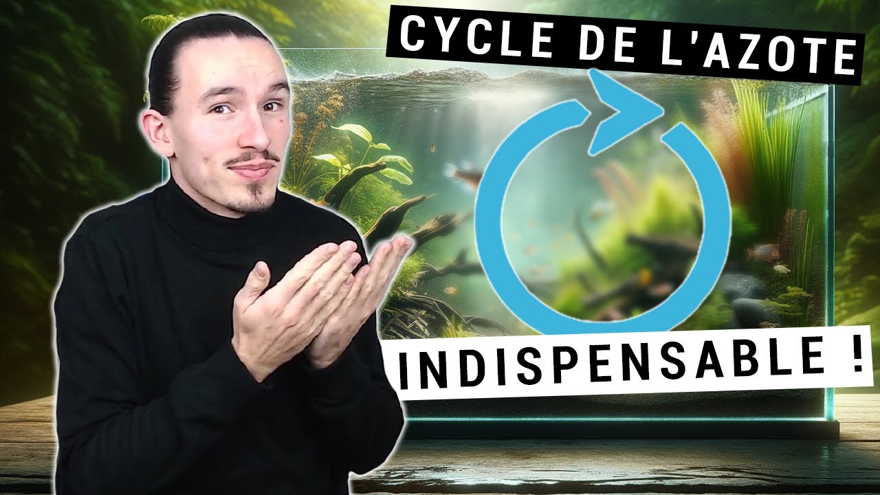 Tout savoir sur le Cycle de l'Azote en Aquarium !