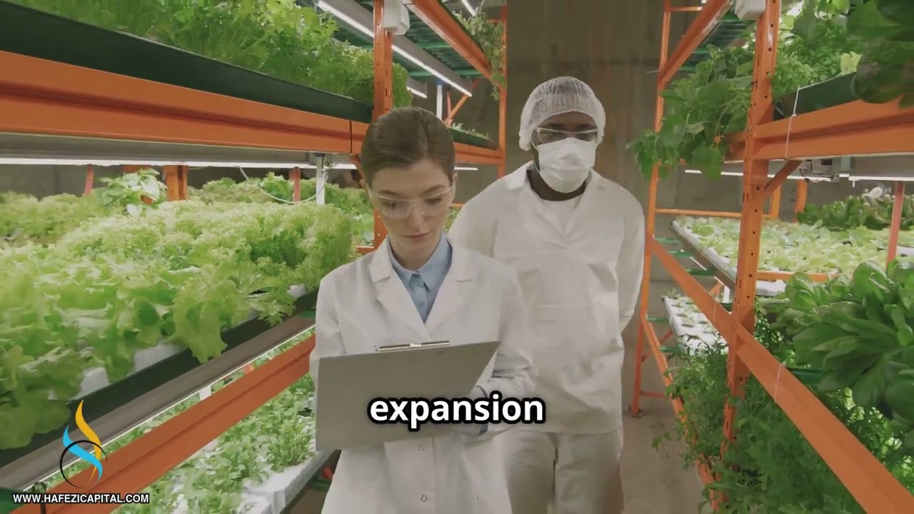 Hafezi Capital USDA Feasibility Study Case Study - Aquaponic Lettuce Farm