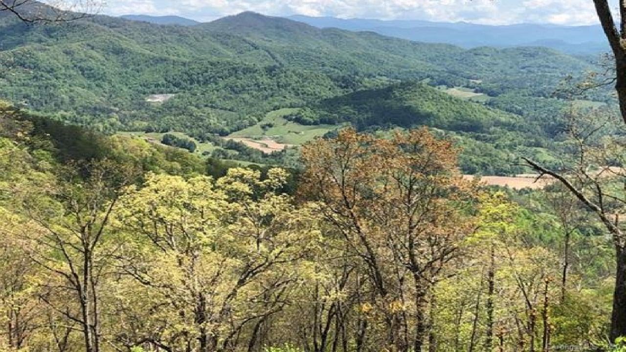 00 Barn Cove Road, Clyde, NC Presented by Gina Kinder.