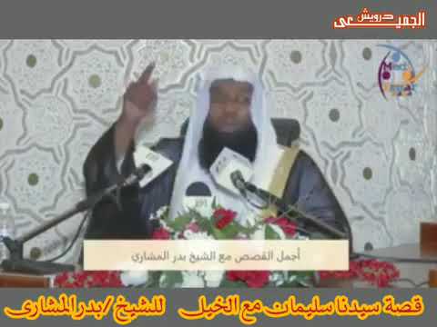 قصة سيدنا سليمان مع الخيل للشيخ بدر المشارى