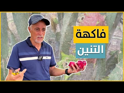 مل من كونه "مجرد فلاح تقليدي".. فقرر أن يزرع فاكهة "التنين" في الجزائر