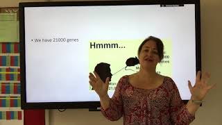 13.4 GCSE The Human Genome
