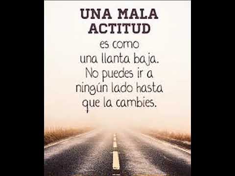 FRASES SABIAS 3 - YouTube