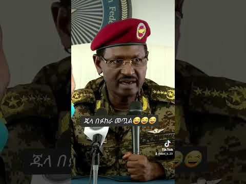 የፋኖ ፉከራ ያስቀዘነው