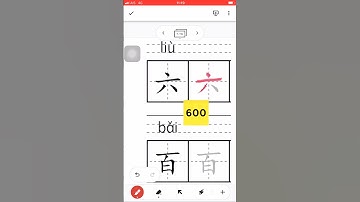 Chinese Charcters 六百 #how to write #write #Chinese #Strokes #HSK #stroke order #train #trainchinese