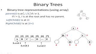 Tree 4 (Binary tree storage representations )