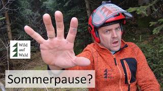 🌲Hintergrund Infos für DICH! Ich bin weg… aber nicht lange! #wildaufwald