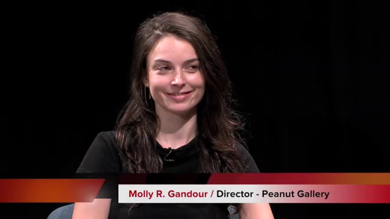 NJ Film Festival Spring 2016 - Peanut Gallery