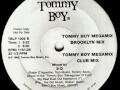 3d  tommy boy megamix  brooklyn mix