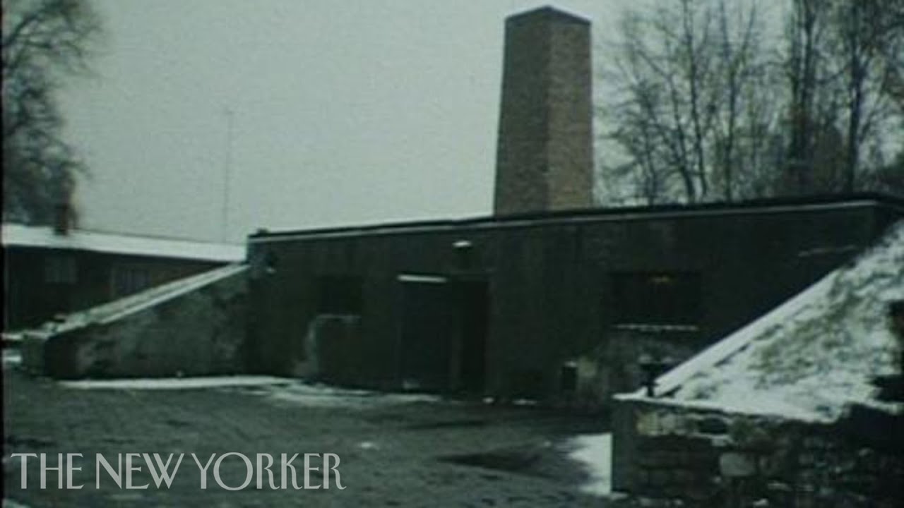 Film backdrop image for Shoah (2014)