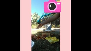 How to peel Cactus fruit (frickly pear) fast and easy.