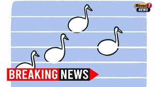 NYT Connections July 11, 2025: Wordplay That Twists the Mind