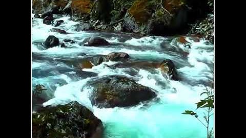 اواخر سورة الكهف / القارئ يونس الدوسكي