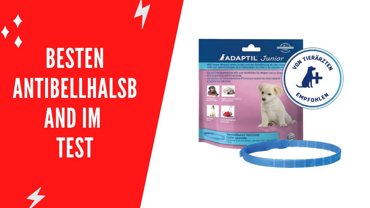 hunde betten Orthopädisches Hundebett online kaufen main image 1
