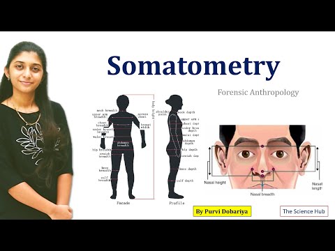 Somatometry | Forensic Anthropology | The Science Hub