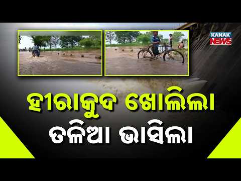 ହୀରାକୁଦ ଖୋଲିଲା ତଳିଆ ଭାସିଲା | Mahanadi Flood Update| Hirakud Opens 30 Gates, 8 Lakh Cusecs at Mundali
