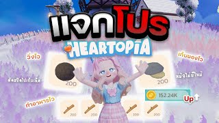 แจกโปร Heartopia วิ่งไว เก็บของไว เก็บเห็ดทั้งเกาะภายใน 3 นาที!!!