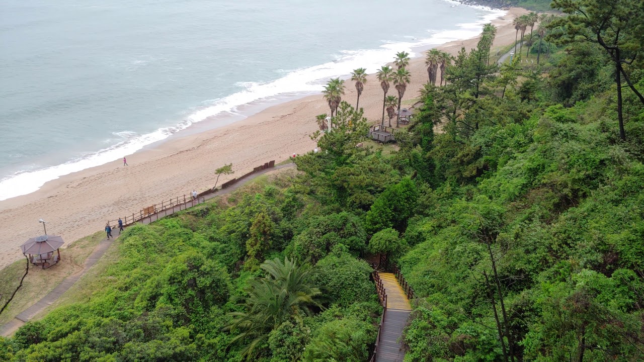 LG G7: 4K Video Sample