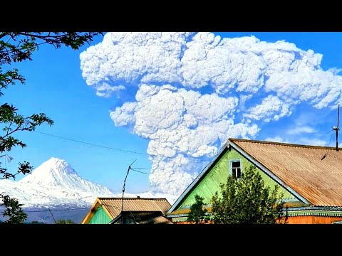 Video: Bezymyanny - el volcán de Kamchatka. Erupción