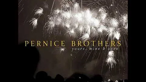 Pernice Brothers - Blinded by the Stars
